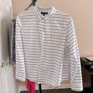 Banana Republic Blue and White Striped Long Sleeve Button Up, Size Large